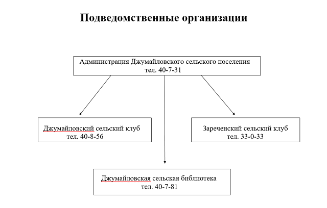 Функции подведомственных учреждений