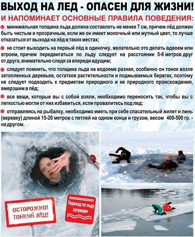 foto 2025 02 26 08 53 001