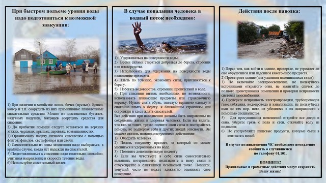 foto 2025 02 26 08 55 001