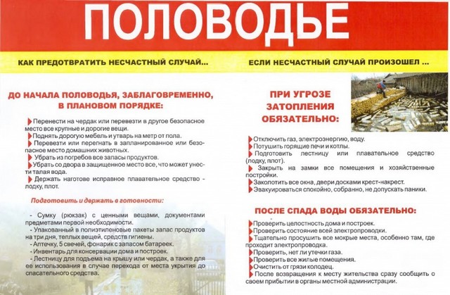 foto 2025 02 26 08 55 004