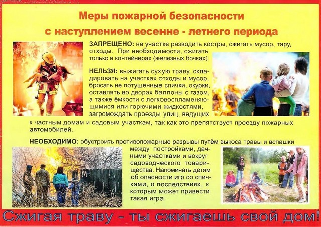 foto 2025 03 17 15 56 002