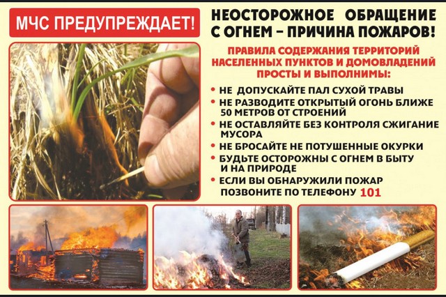 foto 2025 06 10 08 52 004