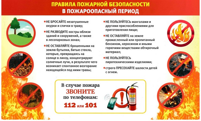 foto 2025 06 10 08 52 007