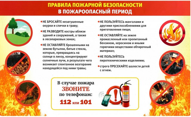 foto 2025 06 10 08 52 008