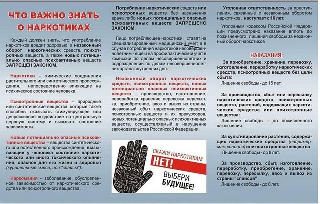 foto 2025 06 19 16 05 005